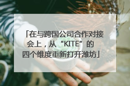 在与跨国公司合作对接会上，从“KITE”的四个维度重新打开潍坊