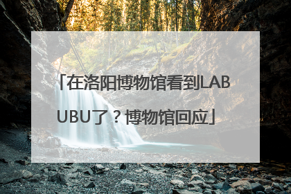 在洛阳博物馆看到LABUBU了？博物馆回应
