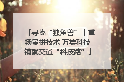 寻找“独角兽”丨重场景拼技术 万集科技铺就交通“科技路”