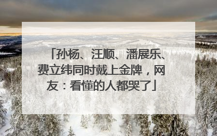 孙杨、汪顺、潘展乐、费立纬同时戴上金牌，网友：看懂的人都哭了