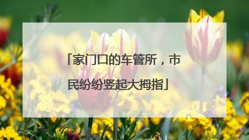 家门口的车管所，市民纷纷竖起大拇指
