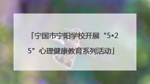 宁国市宁阳学校开展“5•25”心理健康教育系列活动