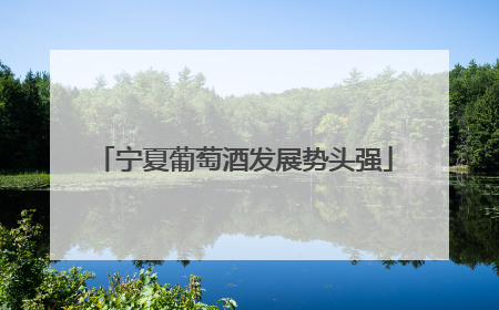 宁夏葡萄酒发展势头强