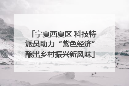 宁夏西夏区 科技特派员助力“紫色经济”酿出乡村振兴新风味
