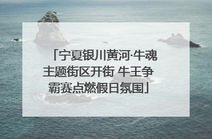 宁夏银川黄河·牛魂主题街区开街 牛王争霸赛点燃假日氛围