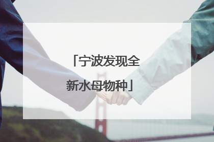 宁波发现全新水母物种