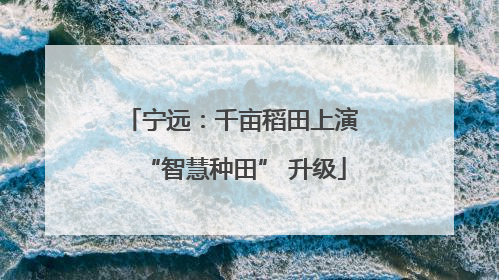 宁远：千亩稻田上演 “智慧种田” 升级