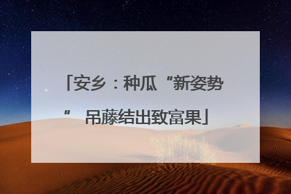 安乡：种瓜“新姿势” 吊藤结出致富果