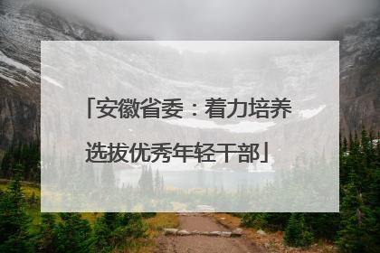 安徽省委：着力培养选拔优秀年轻干部