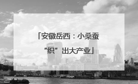 安徽岳西：小桑蚕“织”出大产业