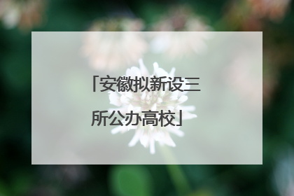 安徽拟新设三所公办高校