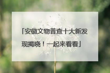 安徽文物普查十大新发现揭晓！一起来看看