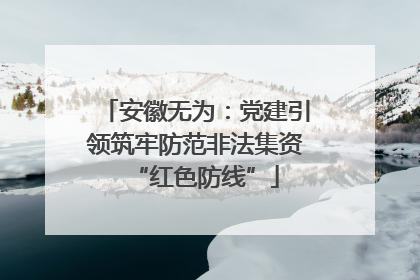 安徽无为：党建引领筑牢防范非法集资“红色防线”