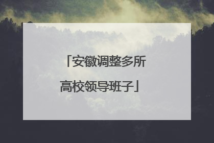 安徽调整多所高校领导班子