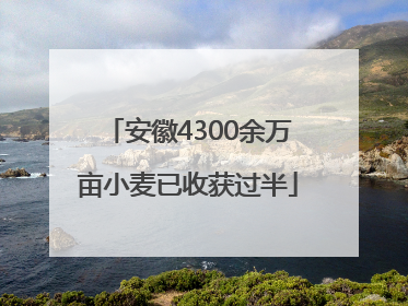 安徽4300余万亩小麦已收获过半