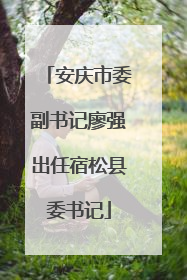 安庆市委副书记廖强出任宿松县委书记