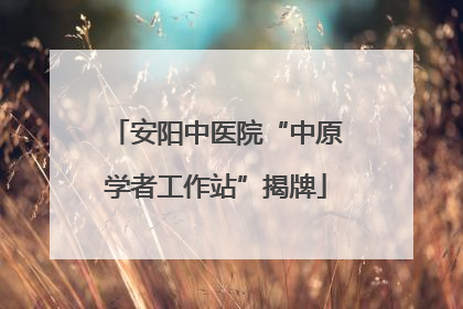安阳中医院“中原学者工作站”揭牌