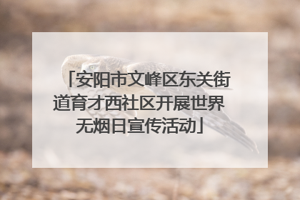 安阳市文峰区东关街道育才西社区开展世界无烟日宣传活动