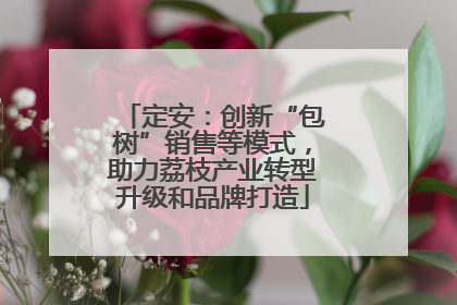 定安：创新“包树”销售等模式，助力荔枝产业转型升级和品牌打造