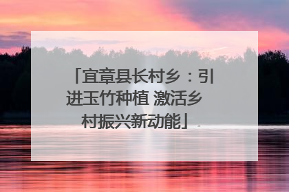 宜章县长村乡：引进玉竹种植 激活乡村振兴新动能
