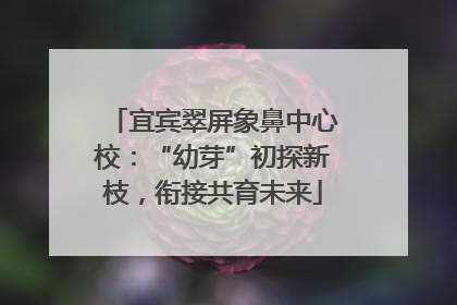 宜宾翠屏象鼻中心校：“幼芽”初探新枝，衔接共育未来