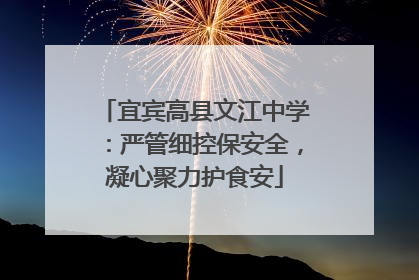 宜宾高县文江中学：严管细控保安全，凝心聚力护食安