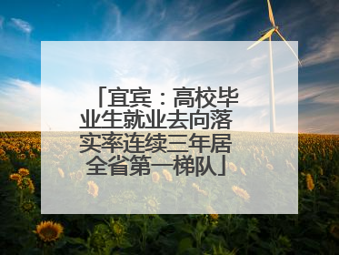 宜宾：高校毕业生就业去向落实率连续三年居全省第一梯队