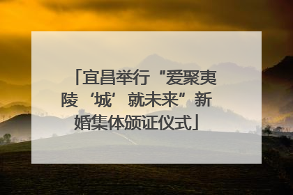 宜昌举行“爱聚夷陵‘城’就未来”新婚集体颁证仪式