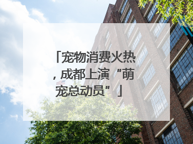 宠物消费火热，成都上演“萌宠总动员”