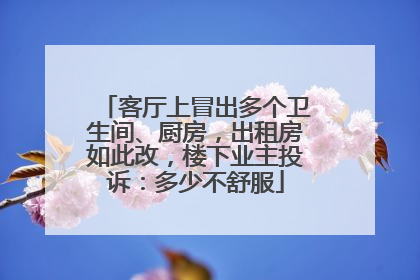 客厅上冒出多个卫生间、厨房，出租房如此改，楼下业主投诉：多少不舒服