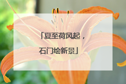 夏至荷风起，石门绘新景
