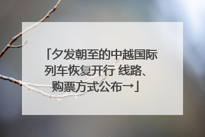 夕发朝至的中越国际列车恢复开行 线路、购票方式公布→