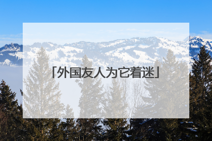 外国友人为它着迷