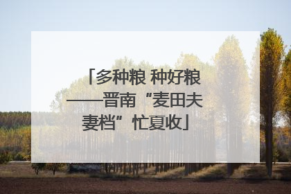 多种粮 种好粮——晋南“麦田夫妻档”忙夏收