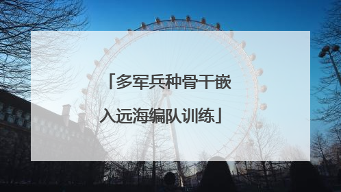 多军兵种骨干嵌入远海编队训练