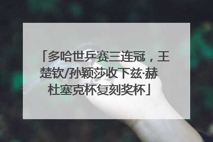 多哈世乒赛三连冠，王楚钦/孙颖莎收下兹·赫杜塞克杯复刻奖杯