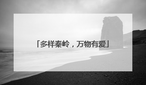 多样秦岭，万物有爱