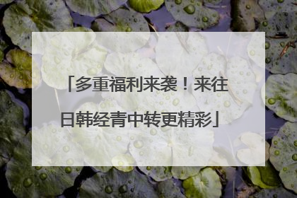 多重福利来袭！来往日韩经青中转更精彩