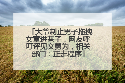 大爷制止男子拖拽女童进巷子，网友呼吁评见义勇为，相关部门：正走程序