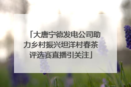 大唐宁德发电公司助力乡村振兴坦洋村春茶评选赛直播引关注