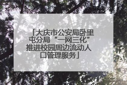 大庆市公安局卧里屯分局“一网三化”推进校园周边流动人口管理服务