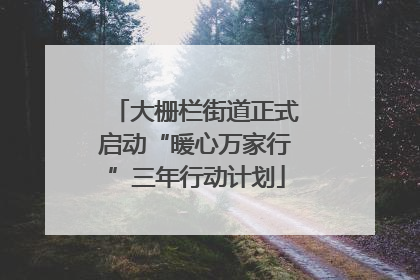 大栅栏街道正式启动“暖心万家行”三年行动计划