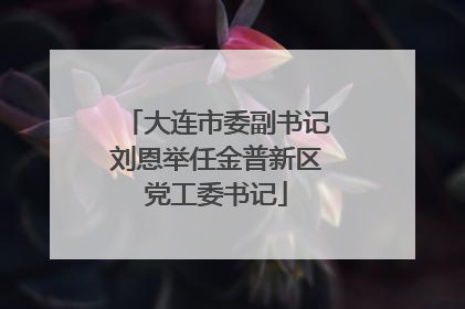 大连市委副书记刘恩举任金普新区党工委书记