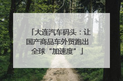 大连汽车码头：让国产商品车外贸跑出全球“加速度”