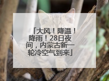 大风！降温！降雨！28日夜间，内蒙古新一轮冷空气到来