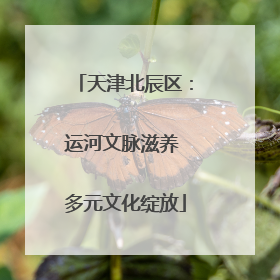 天津北辰区：运河文脉滋养 多元文化绽放