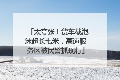 太夸张！货车载泡沫超长七米，高速服务区被民警抓现行