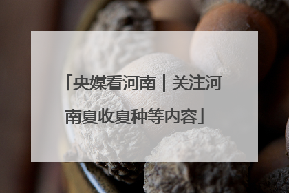 央媒看河南｜关注河南夏收夏种等内容