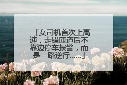 女司机首次上高速，走错匝道后不靠边停车报警，而是一路逆行……
