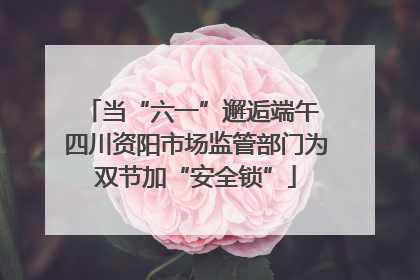 当“六一”邂逅端午 四川资阳市场监管部门为双节加“安全锁”